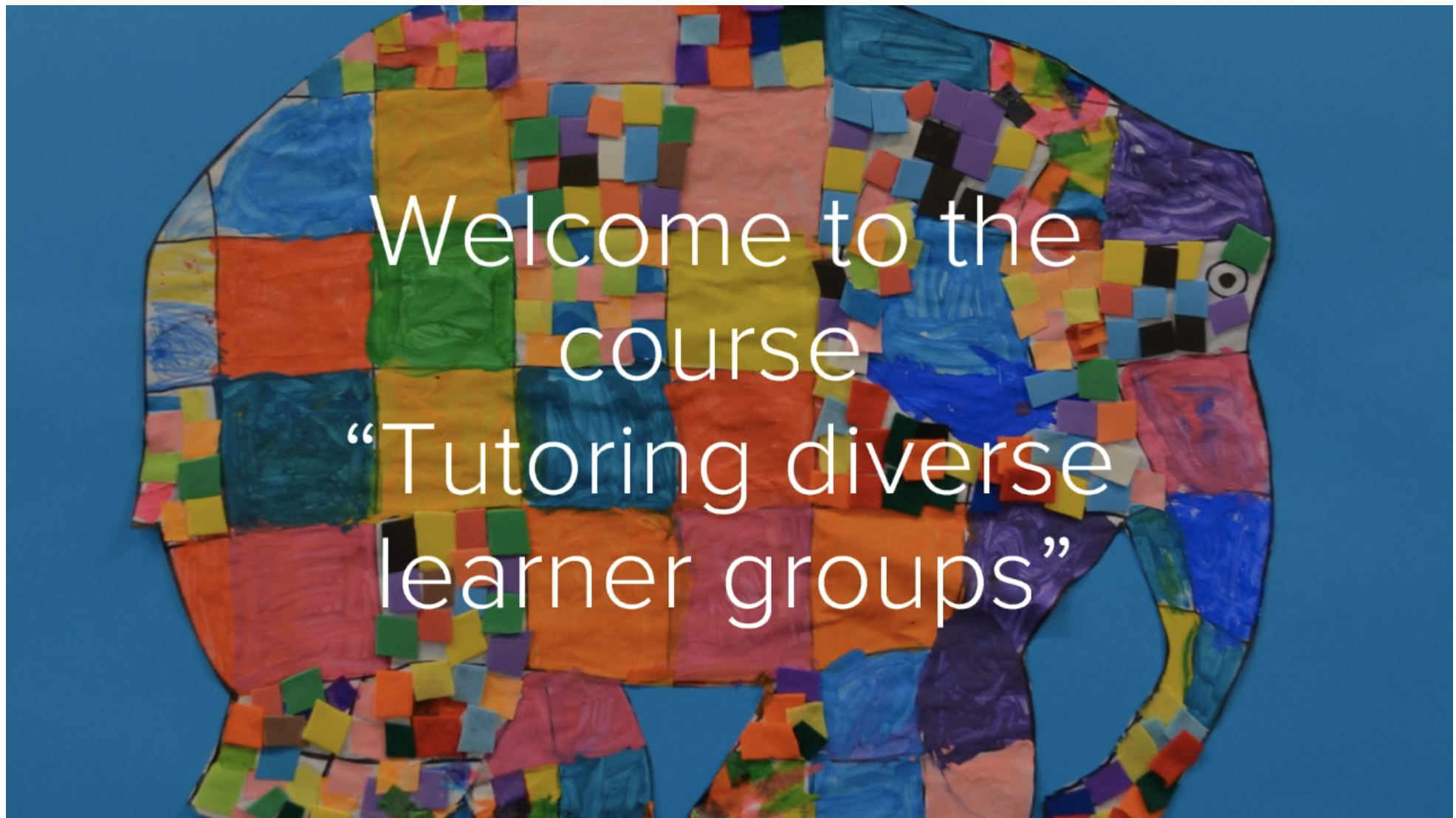 Training material on tutoring diverse learner groups